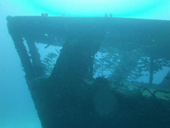 Naufrágio repleto de peixes em Isla Mujeres, no litoral do Yucatán, no sul do México